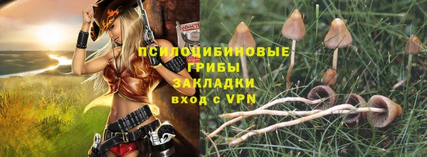 крисы Алексеевка